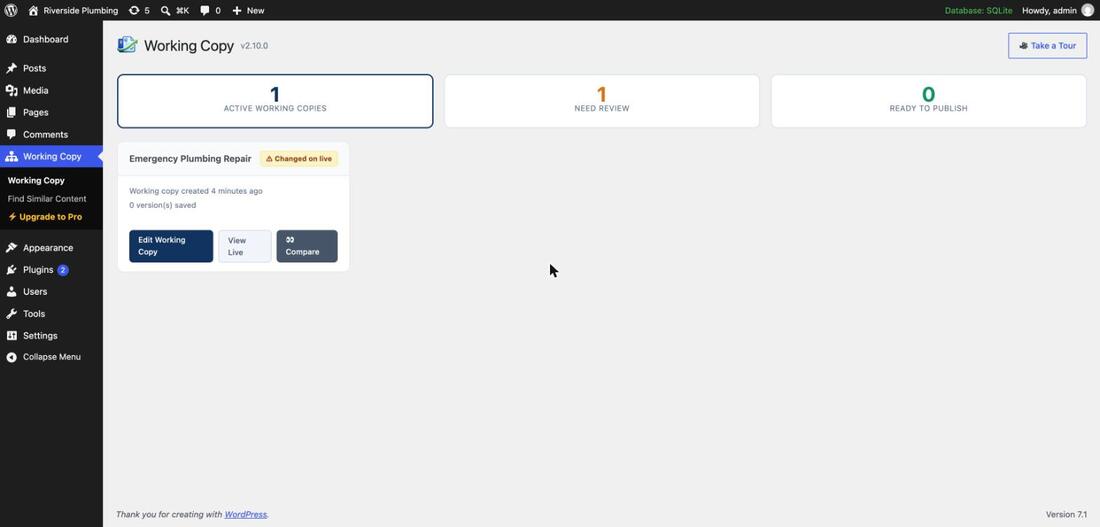 Working Copy's dashboard showing one active working copy for a page titled Emergency Plumbing Repair, flagged Changed on live under Need Review