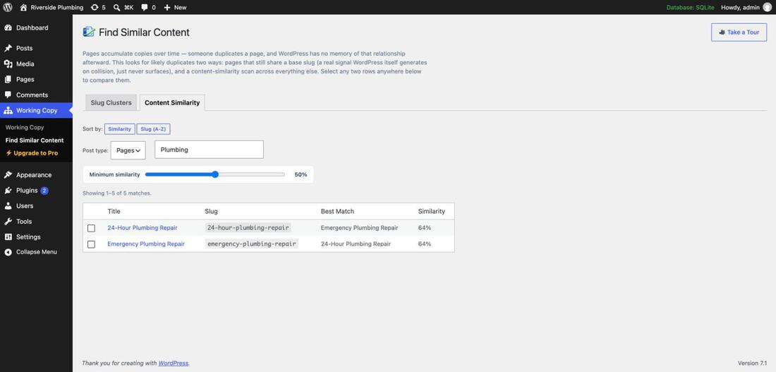 Working Copy's Find Similar Content screen, Content Similarity tab, showing two pages named Emergency Plumbing Repair and 24-Hour Plumbing Repair at 64% similarity
